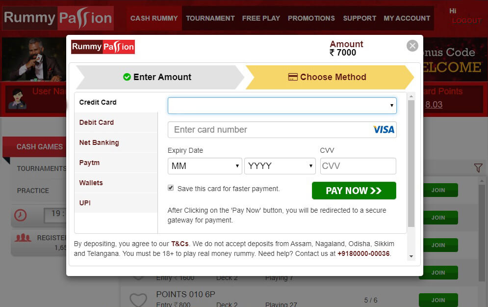 Enter details and click on the Pay Now Button