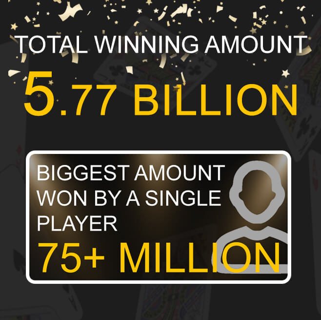 infographic an overview_of 2020 for rummy passion family2